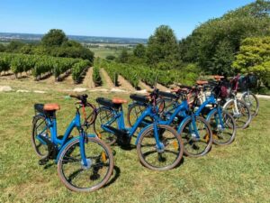 location-de-gite-aux-escapades-de-montbazillac-a-eymet-dans-le-perigord-23-