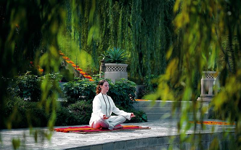 Méditation dans un jardin zen — Cure Silhouette au Domaine des Hauts de Rouquette